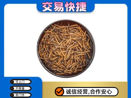 运城市高价回收散虫草